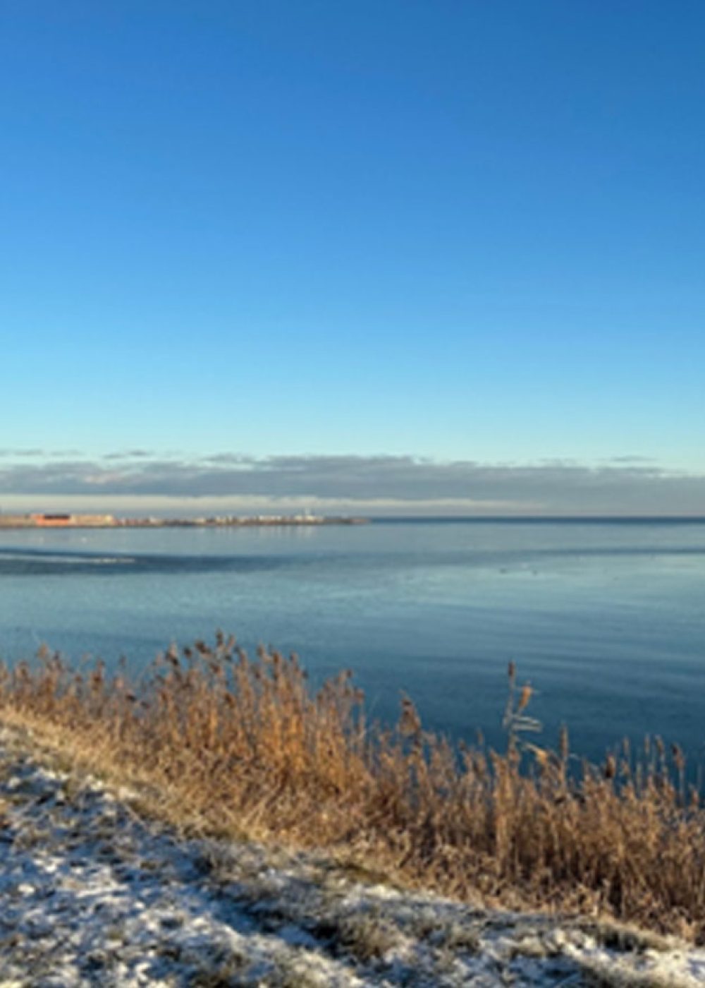 Strandhaven-Sæby_Åbning_NY1 Strandhaven-Sæby_Åbning_NY1